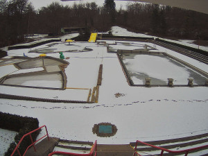 Letni koupaliště Chrudim - Letní koupaliště - 3.2.2026 v 08:45 Letni koupaliště Chrudim - Letní koupaliště - 3.2.2026 v 08:45