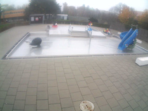 Plavecký stadion Olomouc - Dětstký venkovní bazén - 2.11.2025 v 09:30 Plavecký stadion Olomouc - Dětstký venkovní bazén - 2.11.2025 v 09:30