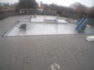 Plavecký stadion Olomouc - Dětstký venkovní bazén - 2.11.2025 v 16:30 Plavecký stadion Olomouc - Dětstký venkovní bazén - 2.11.2025 v 16:30