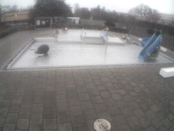 Dětstký venkovní bazén