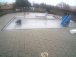 Dětstký venkovní bazén