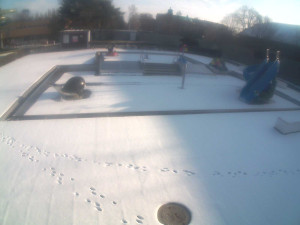 Plavecký stadion Olomouc - Dětstký venkovní bazén - 7.1.2026 v 10:30 Plavecký stadion Olomouc - Dětstký venkovní bazén - 7.1.2026 v 10:30