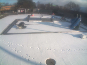 Plavecký stadion Olomouc - Dětstký venkovní bazén - 7.1.2026 v 13:00 Plavecký stadion Olomouc - Dětstký venkovní bazén - 7.1.2026 v 13:00