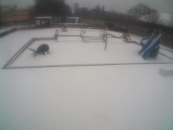 Dětstký venkovní bazén