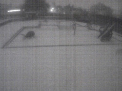 Dětstký venkovní bazén