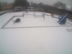 Dětstký venkovní bazén