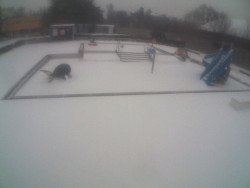 Dětstký venkovní bazén