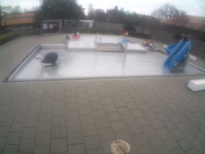 Plavecký stadion Olomouc - Dětstký venkovní bazén - 14.2.2026 v 11:00 Plavecký stadion Olomouc - Dětstký venkovní bazén - 14.2.2026 v 11:00