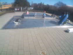 Dětstký venkovní bazén