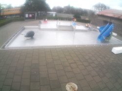 Dětstký venkovní bazén