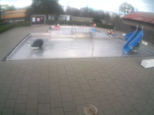 Plavecký stadion Olomouc - Dětstký venkovní bazén - 8.4.2026 v 17:30 Plavecký stadion Olomouc - Dětstký venkovní bazén - 8.4.2026 v 17:30