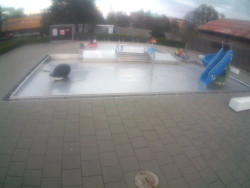 Dětstký venkovní bazén