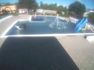 Plavecký stadion Olomouc - Dětstký venkovní bazén - 7.6.2026 v 17:30 Plavecký stadion Olomouc - Dětstký venkovní bazén - 7.6.2026 v 17:30