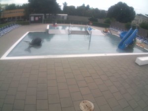 Schwimmstadion Olomouc - Kinder-Außenschwimmbecken - 16.6.2026 v 16:30 Schwimmstadion Olomouc - Kinder-Außenschwimmbecken - 16.6.2026 v 16:30