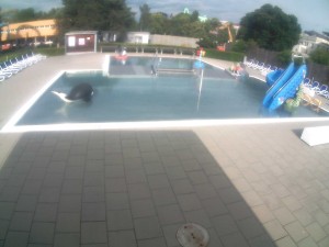 Schwimmstadion Olomouc - Kinder-Außenschwimmbecken - 16.6.2026 v 17:30 Schwimmstadion Olomouc - Kinder-Außenschwimmbecken - 16.6.2026 v 17:30