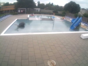 Schwimmstadion Olomouc - Kinder-Außenschwimmbecken - 16.6.2026 v 18:30 Schwimmstadion Olomouc - Kinder-Außenschwimmbecken - 16.6.2026 v 18:30