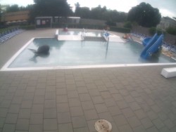 Kinder-Außenschwimmbecken