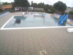 Kinder-Außenschwimmbecken