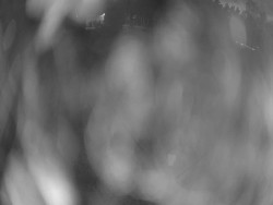 Velký plavecký bazén