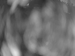 Velký plavecký bazén