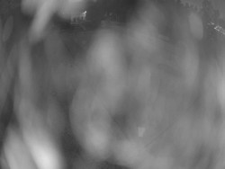 Velký plavecký bazén