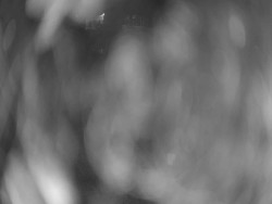 Velký plavecký bazén