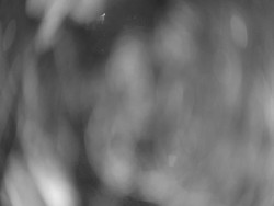 Velký plavecký bazén