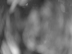 Velký plavecký bazén