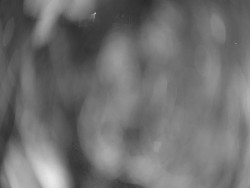 Velký plavecký bazén