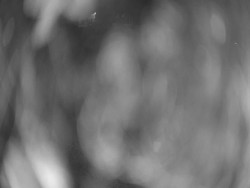 Velký plavecký bazén