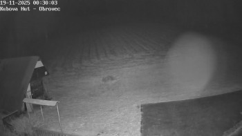 Snímek 19.11.2025 v 00:30