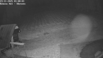 Snímek 23.11.2025 v 01:00