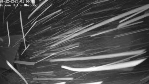 Ski areál Kubova Huť - Pod Obrovcem - 24.12.2025 v 01:00 Ski areál Kubova Huť - Pod Obrovcem - 24.12.2025 v 01:00