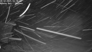 Ski areál Kubova Huť - Pod Obrovcem - 24.12.2025 v 01:30 Ski areál Kubova Huť - Pod Obrovcem - 24.12.2025 v 01:30