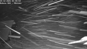 Ski areál Kubova Huť - Pod Obrovcem - 24.12.2025 v 01:45 Ski areál Kubova Huť - Pod Obrovcem - 24.12.2025 v 01:45