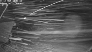 Ski areál Kubova Huť - Pod Obrovcem - 24.12.2025 v 04:00 Ski areál Kubova Huť - Pod Obrovcem - 24.12.2025 v 04:00