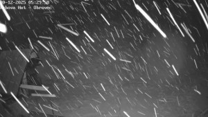 Ski areál Kubova Huť - Pod Obrovcem - 30.12.2025 v 05:30 Ski areál Kubova Huť - Pod Obrovcem - 30.12.2025 v 05:30