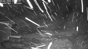 Ski areál Kubova Huť - Pod Obrovcem - 20.2.2026 v 01:30 Ski areál Kubova Huť - Pod Obrovcem - 20.2.2026 v 01:30