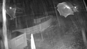 Ski areál Branná - Ski areál Branná - 18.4.2025 v 23:02 Ski areál Branná - Ski areál Branná - 18.4.2025 v 23:02