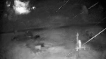Snímek    26.10.2025 v 00:05