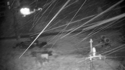 Ski areál Branná