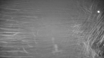 Snímek 5.11.2025 v 01:02