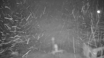 Snímek 5.11.2025 v 01:35