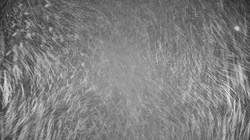 Snímek 5.11.2025 v 02:20