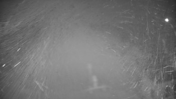 Snímek 5.11.2025 v 02:50