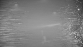 Snímek 5.11.2025 v 04:10