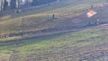 Snímek 7.11.2025 v 13:15