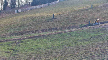 Snímek 7.11.2025 v 13:40