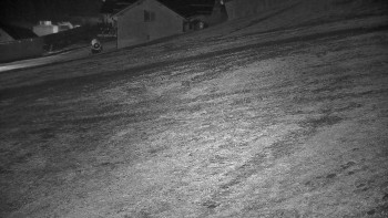 Snímek 7.11.2025 v 19:20