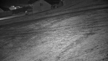 Snímek 7.11.2025 v 19:40